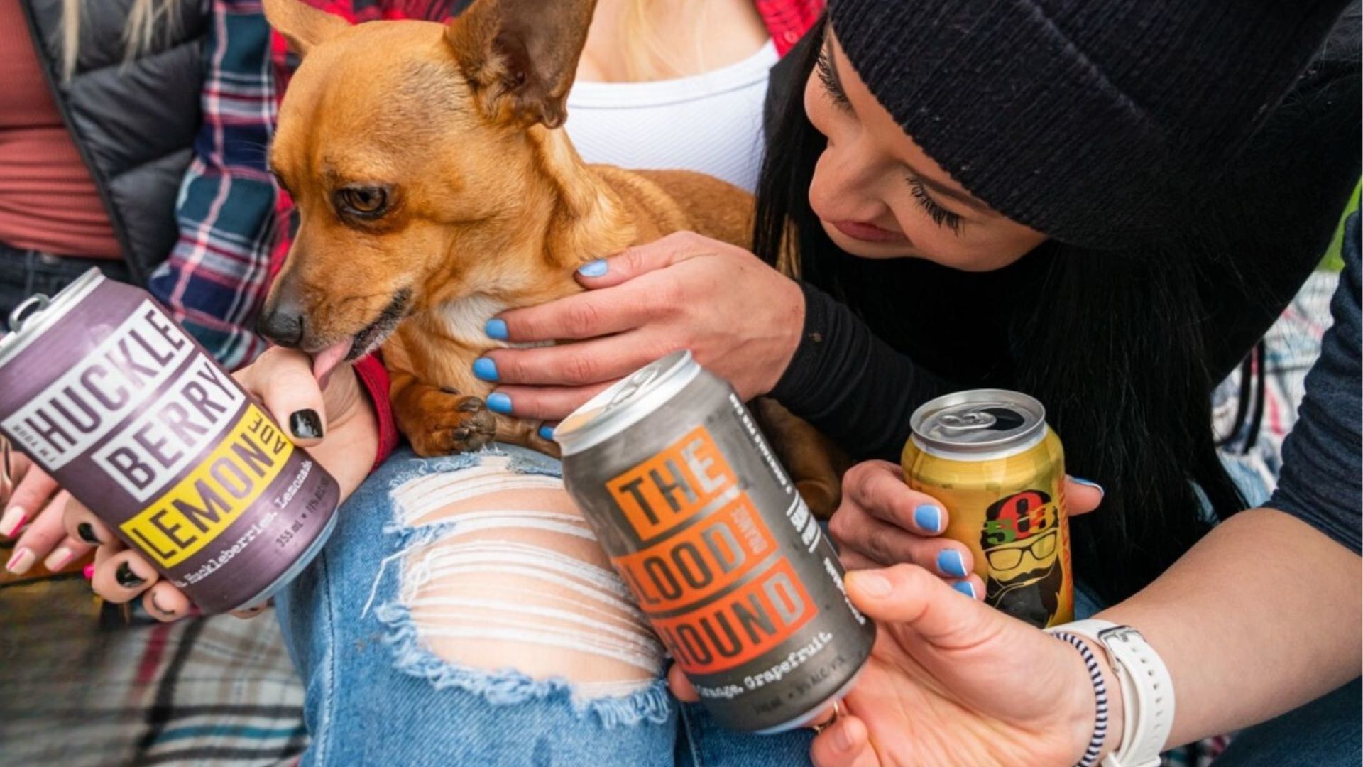 A Person Holding A Dog And Some Cans Of Beer